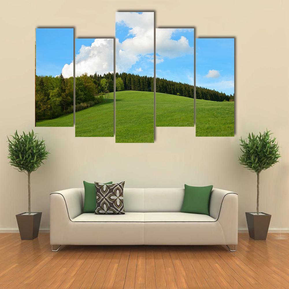 Green Field &amp; Forest Canvas Wall Art-5 Pop-Gallery Wrap-47" x 32"-Tiaracle