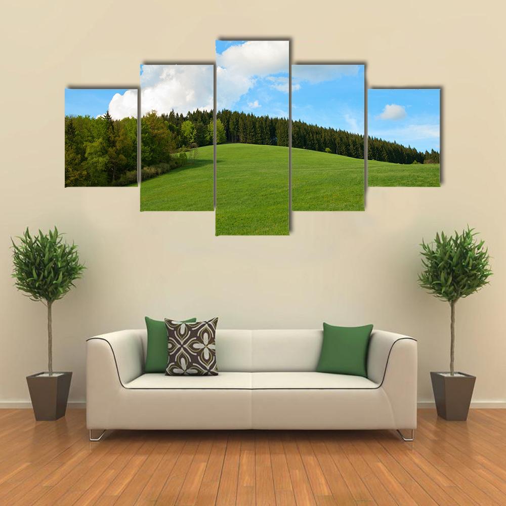 Green Field & Forest Canvas Wall Art-5 Star-Gallery Wrap-62" x 32"-Tiaracle