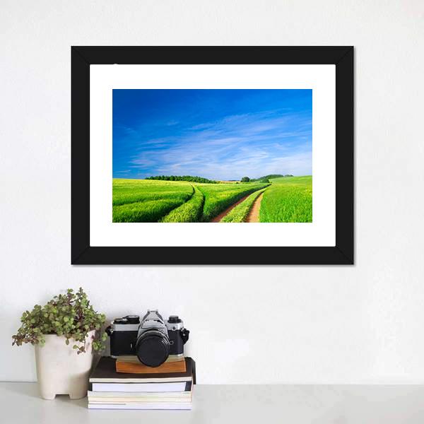 Green Field With Blue Sky Canvas Wall Art-1 Piece-Framed Print-20" x 16"-Tiaracle