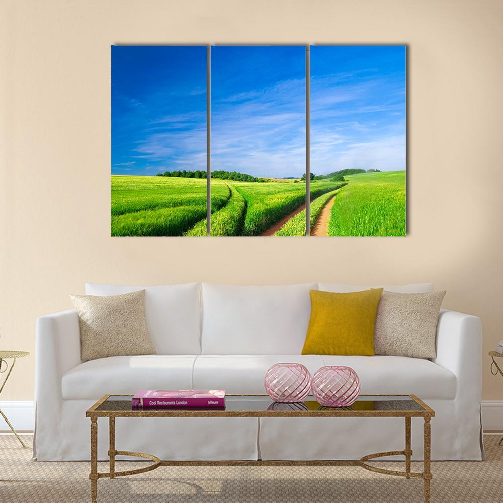 Green Field With Blue Sky Canvas Wall Art-4 Pop-Gallery Wrap-50" x 32"-Tiaracle