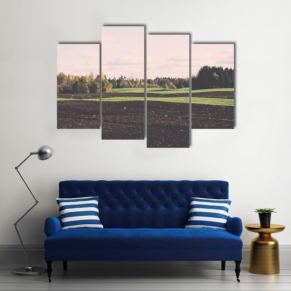 Green Field With Trees In The Autumn Canvas Wall Art-4 Pop-Gallery Wrap-50" x 32"-Tiaracle