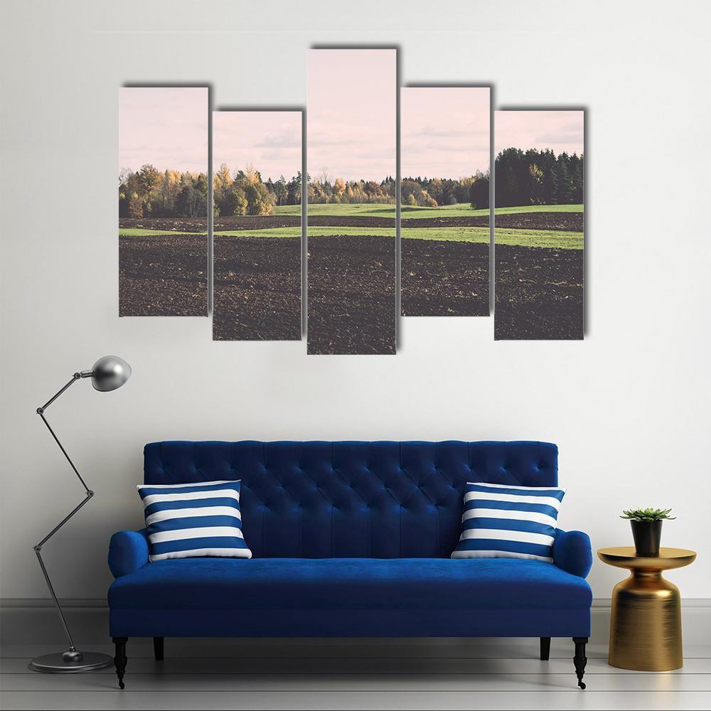 Green Field With Trees In The Autumn Canvas Wall Art-5 Pop-Gallery Wrap-47" x 32"-Tiaracle