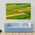 Green Fields View Before Harvest Canvas Wall Art-3 Horizontal-Gallery Wrap-37" x 24"-Tiaracle