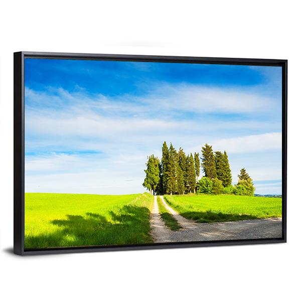 Green Fields With Cypress Trees Canvas Wall Art-3 Horizontal-Gallery Wrap-25" x 16"-Tiaracle