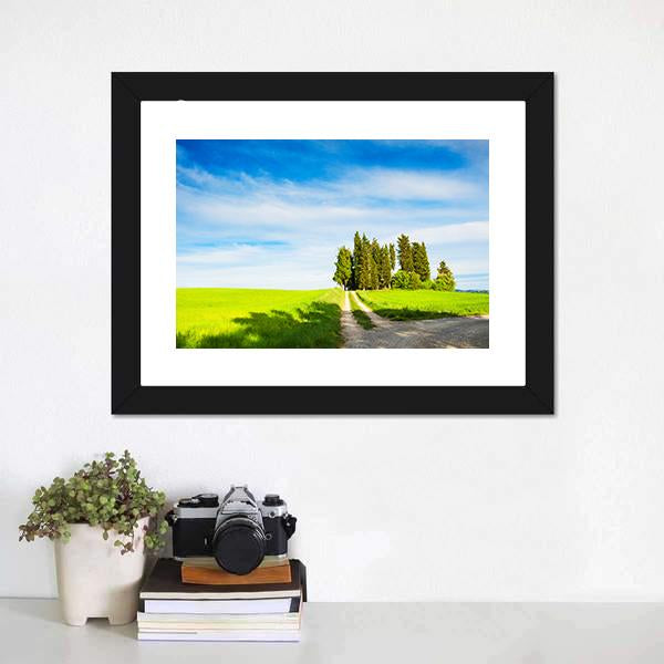 Green Fields With Cypress Trees Canvas Wall Art-1 Piece-Framed Print-20" x 16"-Tiaracle