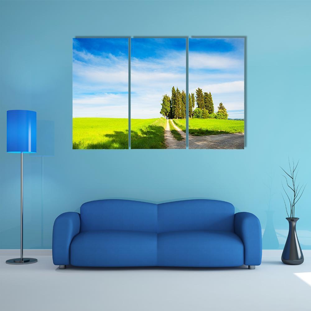 Green Fields With Cypress Trees Canvas Wall Art-3 Horizontal-Gallery Wrap-37" x 24"-Tiaracle