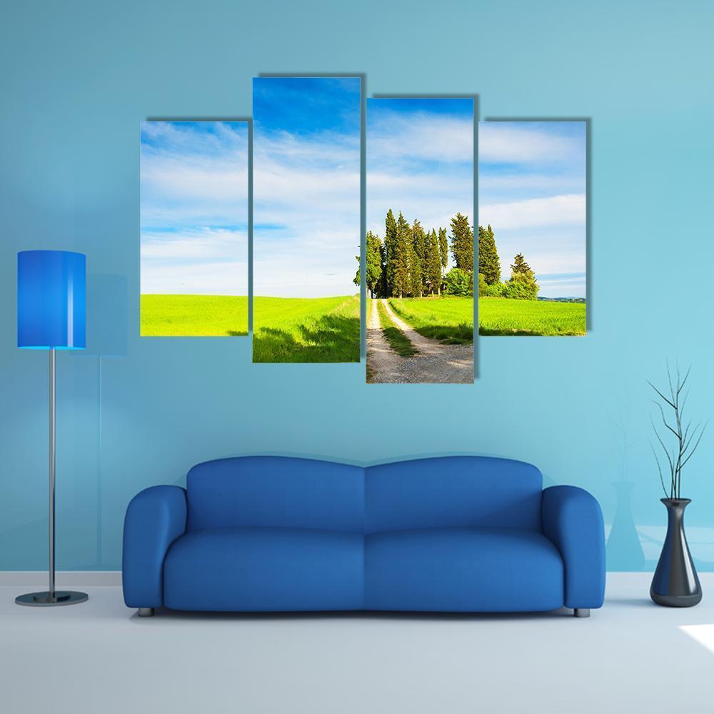 Green Fields With Cypress Trees Canvas Wall Art-4 Pop-Gallery Wrap-50" x 32"-Tiaracle