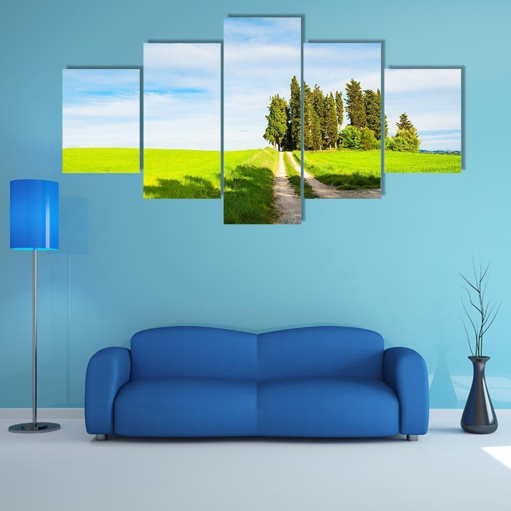 Green Fields With Cypress Trees Canvas Wall Art-5 Star-Gallery Wrap-62" x 32"-Tiaracle