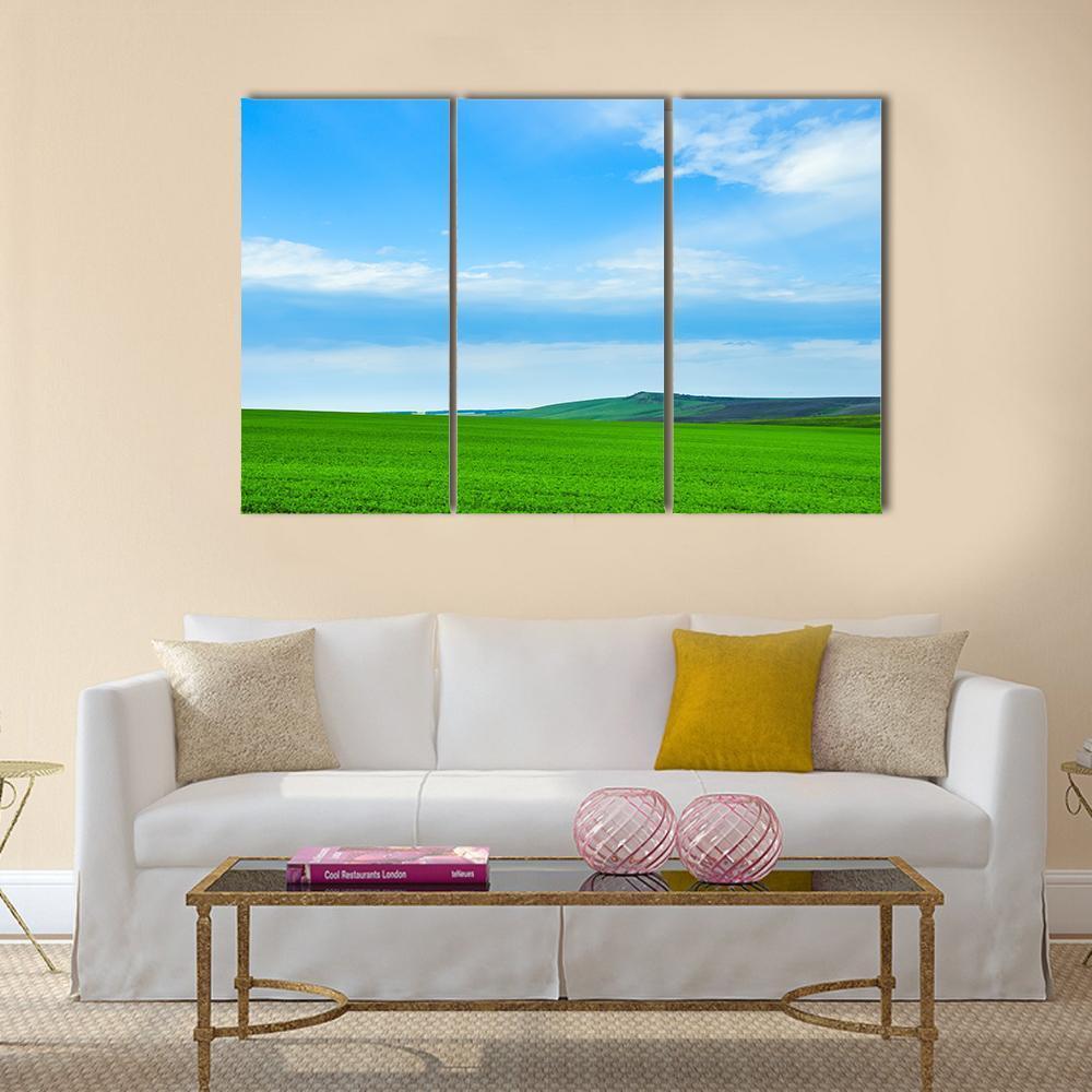 Green Meadow In Russia Canvas Wall Art-3 Horizontal-Gallery Wrap-37" x 24"-Tiaracle