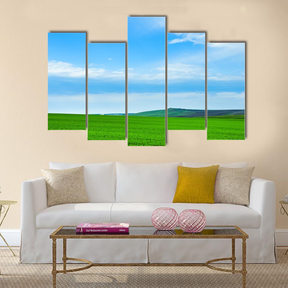 Green Meadow In Russia Canvas Wall Art-5 Pop-Gallery Wrap-47" x 32"-Tiaracle