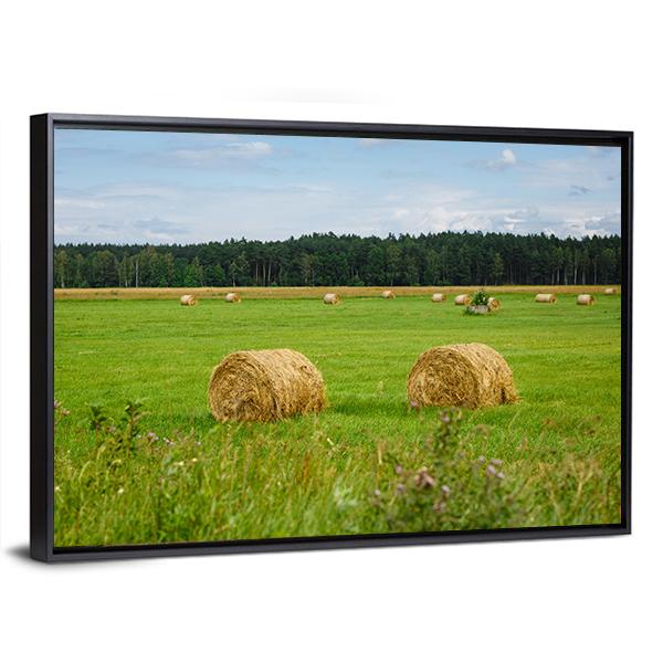 Green Meadow With Hay Rolls Canvas Wall Art-3 Horizontal-Gallery Wrap-25" x 16"-Tiaracle