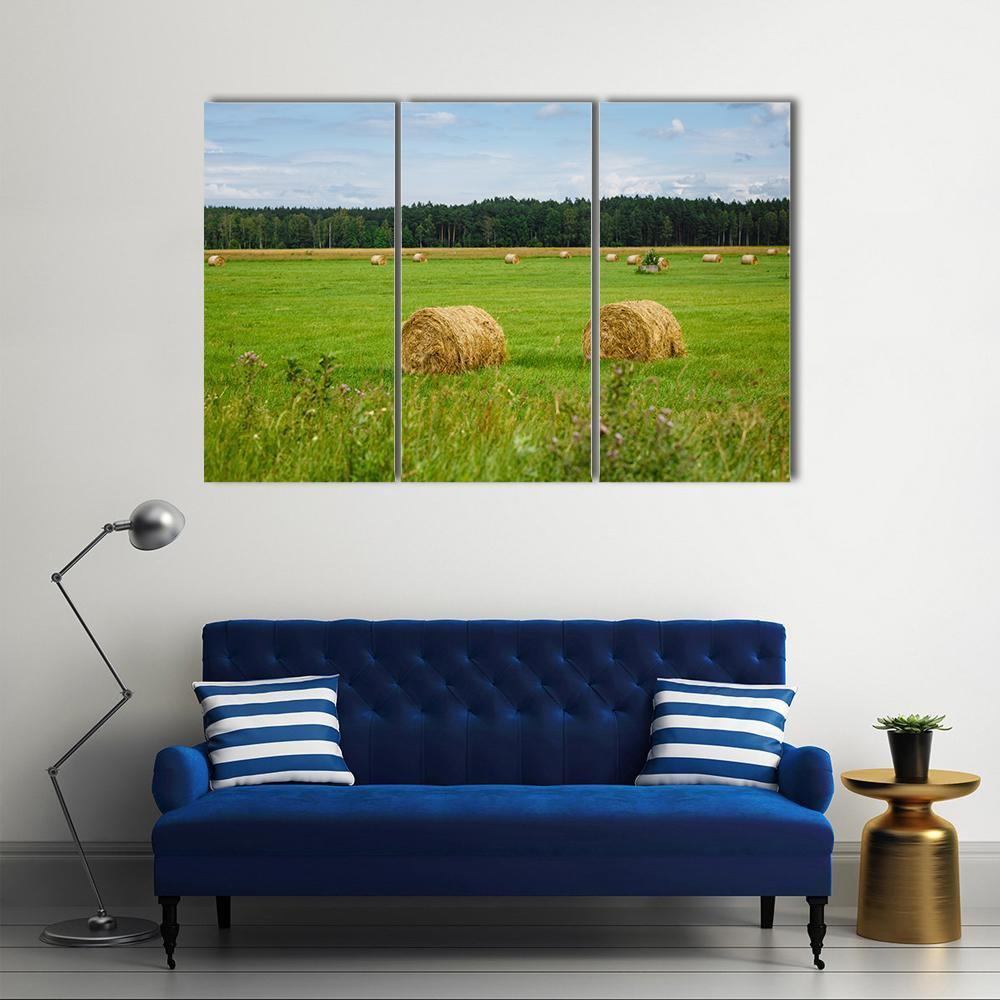 Green Meadow With Hay Rolls Canvas Wall Art-3 Horizontal-Gallery Wrap-37" x 24"-Tiaracle