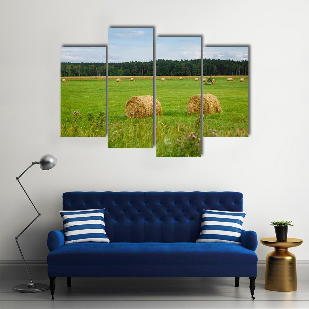 Green Meadow With Hay Rolls Canvas Wall Art-4 Pop-Gallery Wrap-50" x 32"-Tiaracle