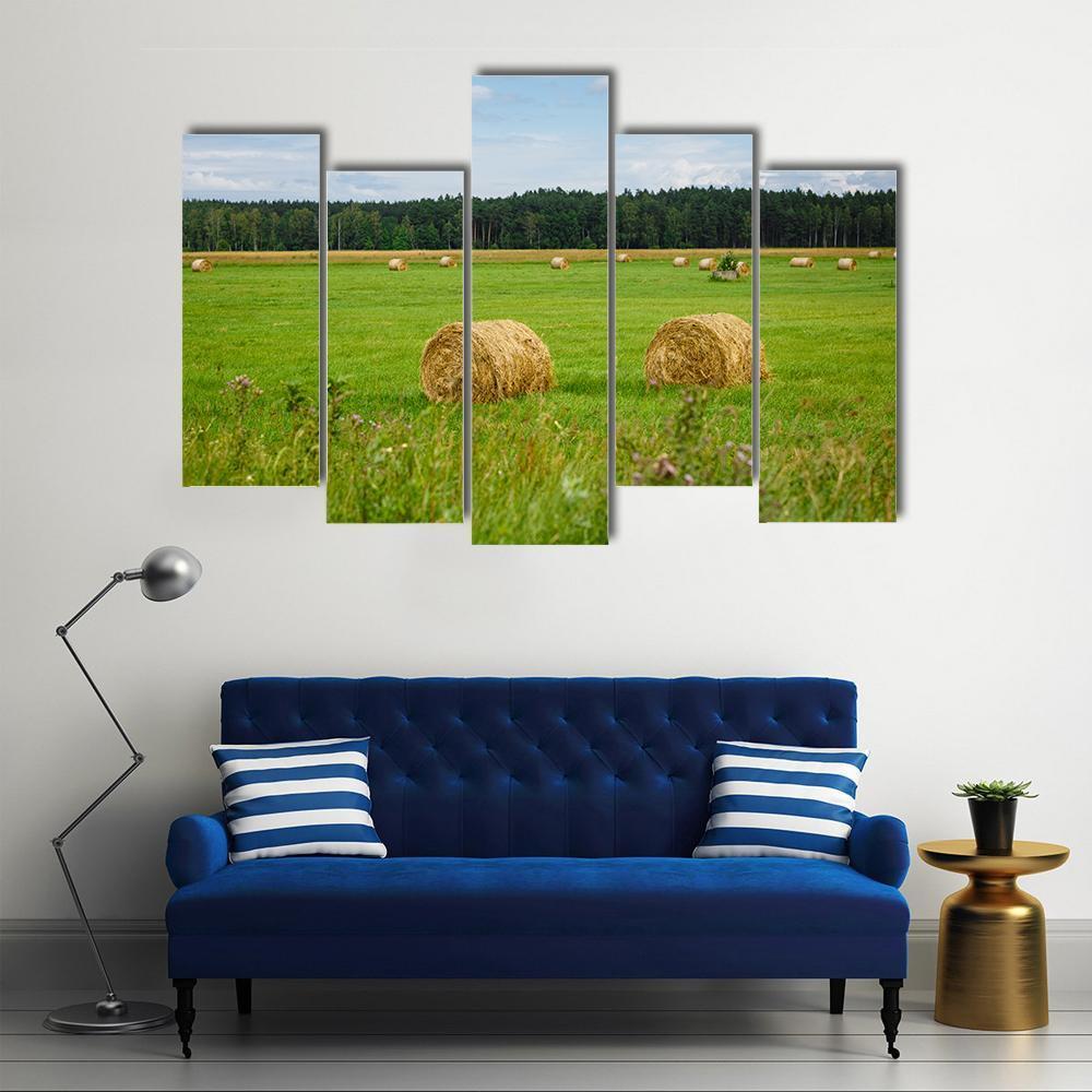 Green Meadow With Hay Rolls Canvas Wall Art-5 Pop-Gallery Wrap-47" x 32"-Tiaracle