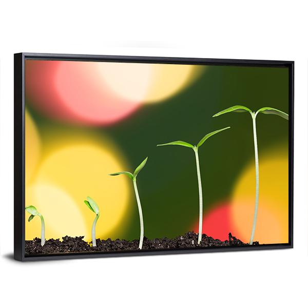 Green Plant On Bokeh Canvas Wall Art-3 Horizontal-Gallery Wrap-25" x 16"-Tiaracle