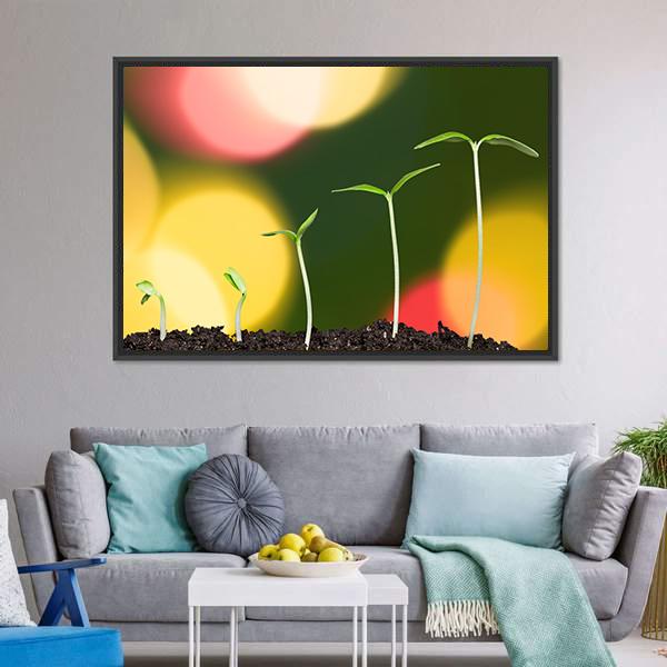 Green Plant On Bokeh Canvas Wall Art-3 Horizontal-Gallery Wrap-25" x 16"-Tiaracle
