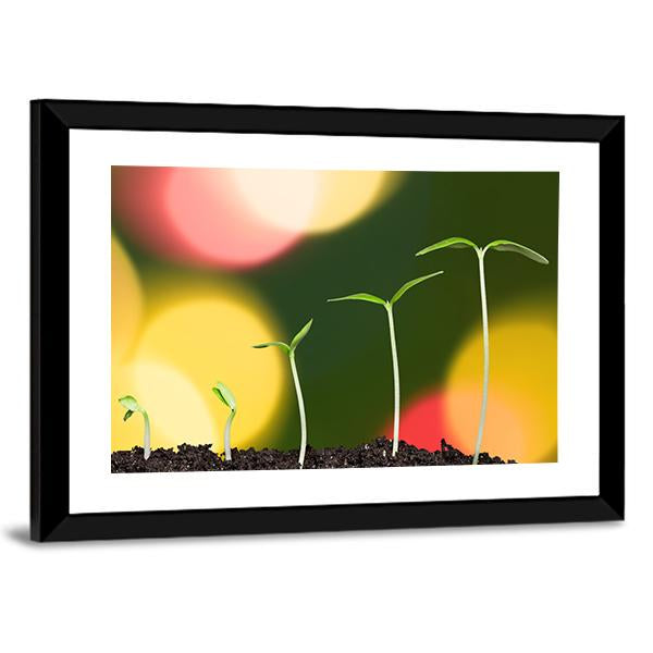 Green Plant On Bokeh Canvas Wall Art-3 Horizontal-Gallery Wrap-25" x 16"-Tiaracle