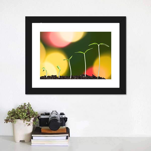 Green Plant On Bokeh Canvas Wall Art-1 Piece-Framed Print-20" x 16"-Tiaracle