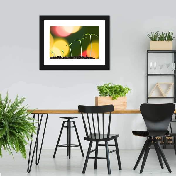 Green Plant On Bokeh Canvas Wall Art-3 Horizontal-Gallery Wrap-25" x 16"-Tiaracle
