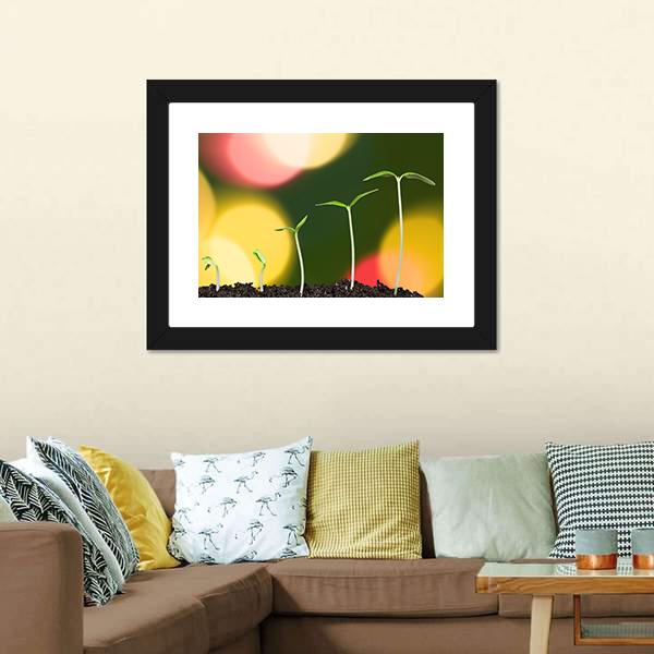 Green Plant On Bokeh Canvas Wall Art-3 Horizontal-Gallery Wrap-25" x 16"-Tiaracle
