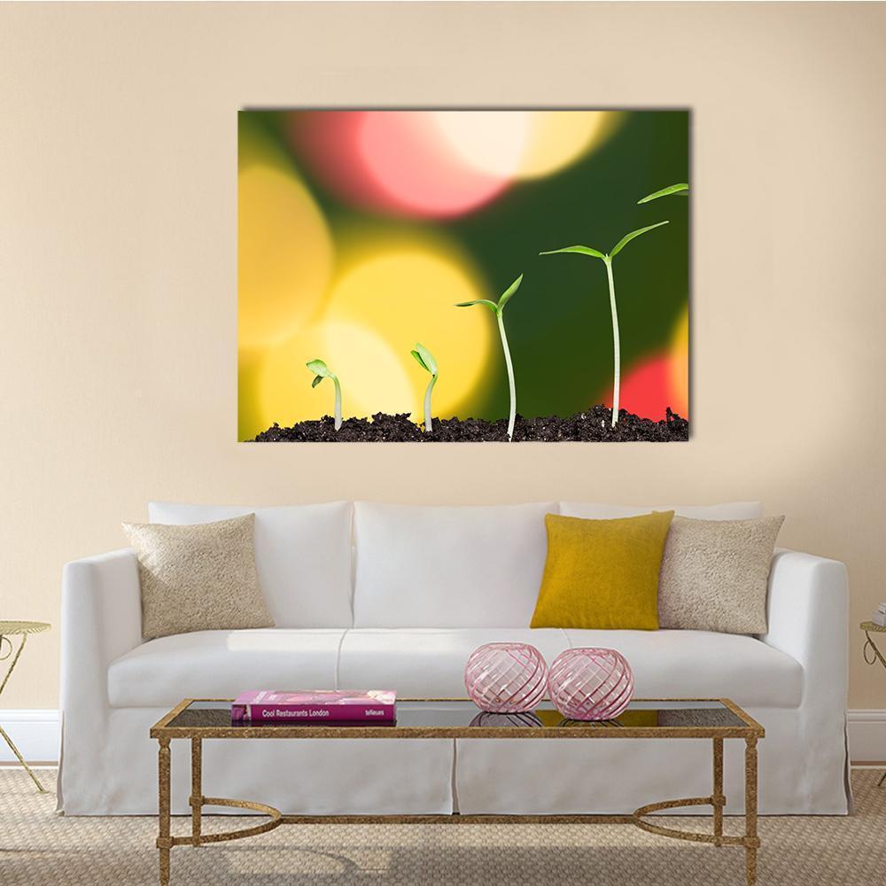 Green Plant On Bokeh Canvas Wall Art-3 Horizontal-Gallery Wrap-37" x 24"-Tiaracle