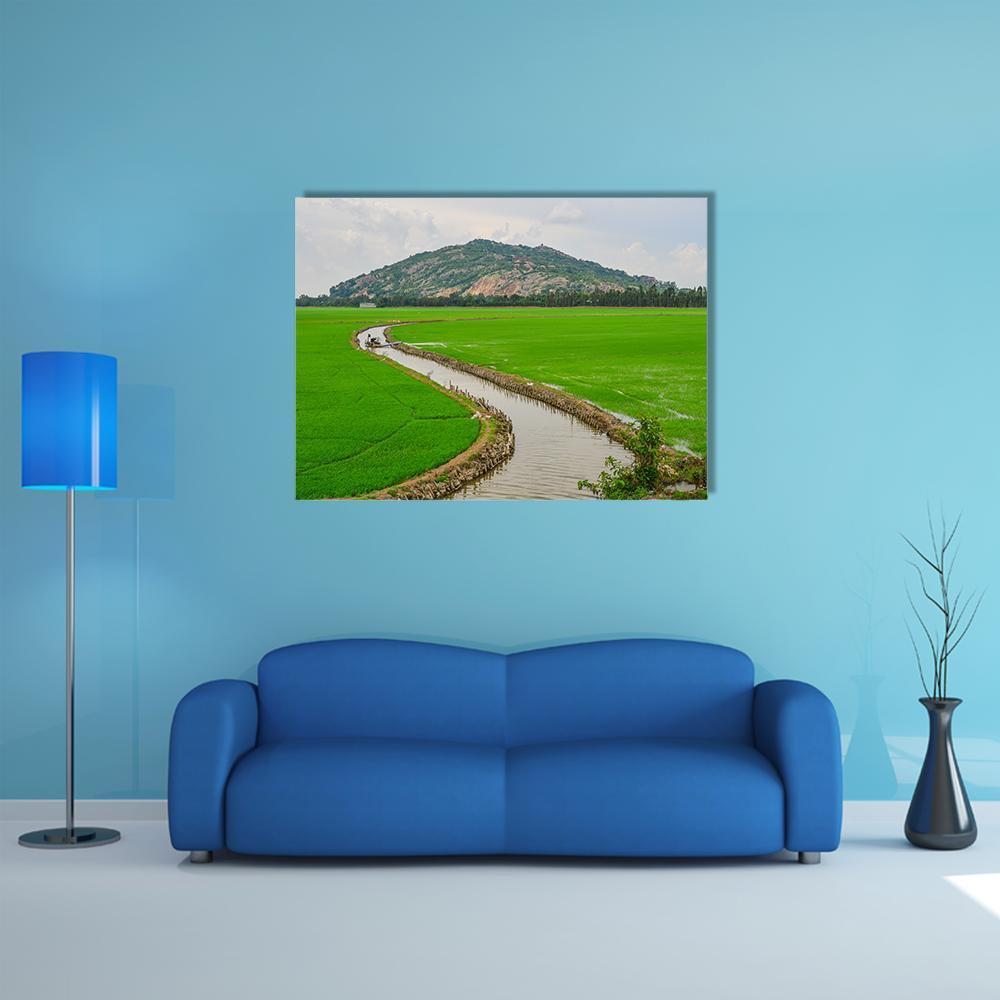 Vietnam Rice Fields with Canal and Boat Canvas Wall Art in white, gray and green, single panel hung on a wall