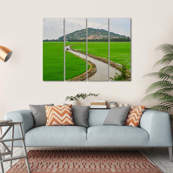 Green Rice Field Vietnams Canvas Wall Art-4 Horizontal-Gallery Wrap-34" x 24"-Tiaracle