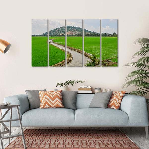 Green Rice Field Vietnams Canvas Wall Art-5 Horizontal-Gallery Wrap-22" x 12"-Tiaracle