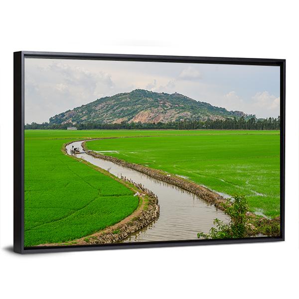 Green Rice Field Vietnams Canvas Wall Art-3 Horizontal-Gallery Wrap-25" x 16"-Tiaracle