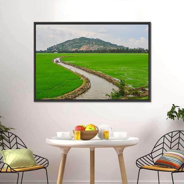 Green Rice Field Vietnams Canvas Wall Art-5 Horizontal-Gallery Wrap-22" x 12"-Tiaracle