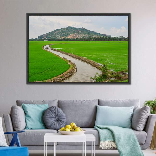 Green Rice Field Vietnams Canvas Wall Art-3 Horizontal-Gallery Wrap-25" x 16"-Tiaracle
