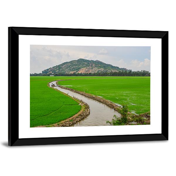 Green Rice Field Vietnams Canvas Wall Art-5 Horizontal-Gallery Wrap-22" x 12"-Tiaracle