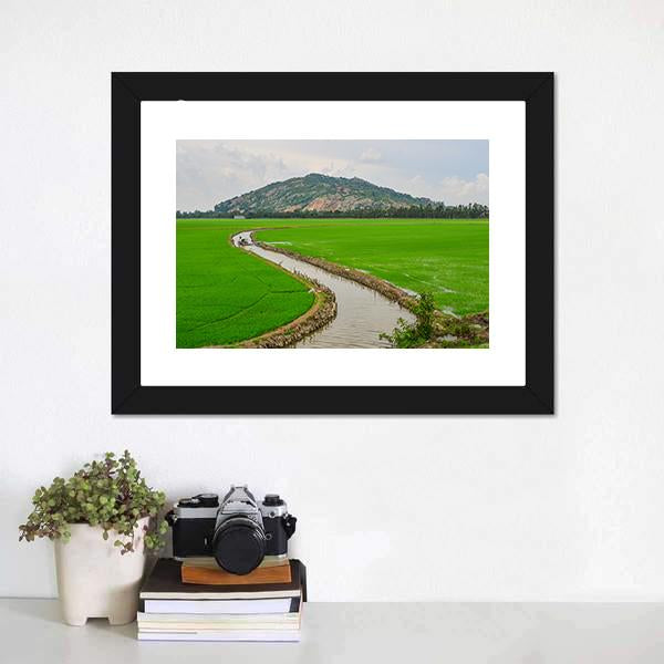 Green Rice Field Vietnams Canvas Wall Art-1 Piece-Framed Print-20" x 16"-Tiaracle