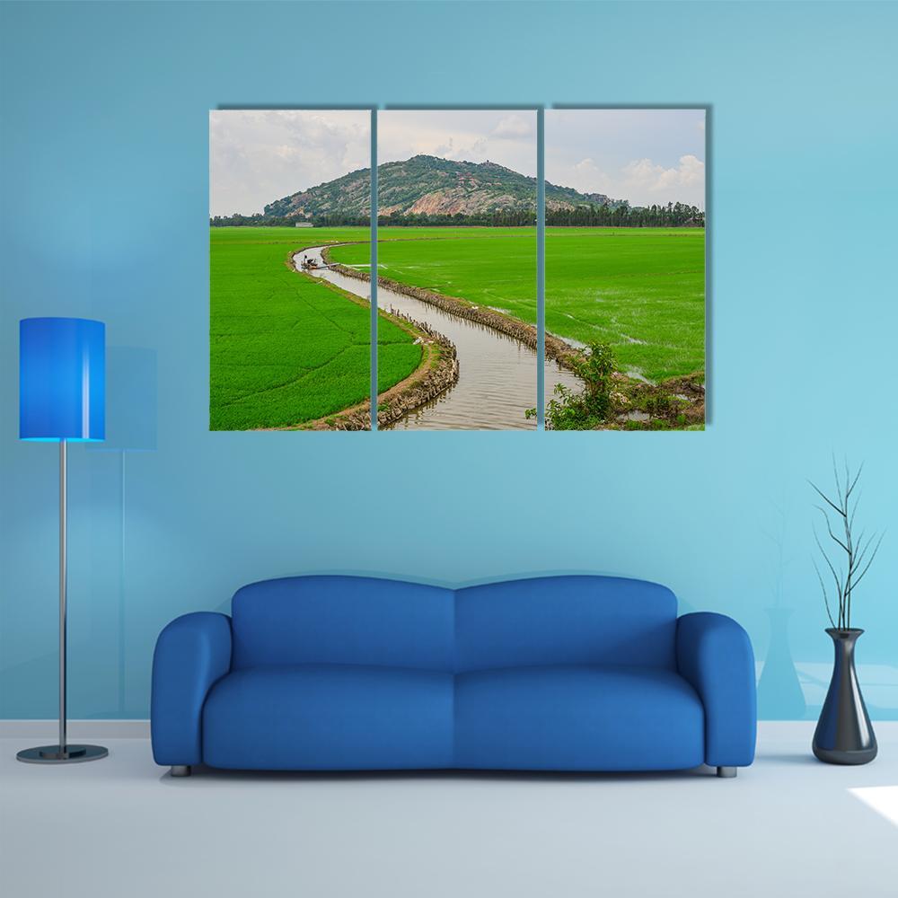 Green Rice Field Vietnams Canvas Wall Art-3 Horizontal-Gallery Wrap-37" x 24"-Tiaracle