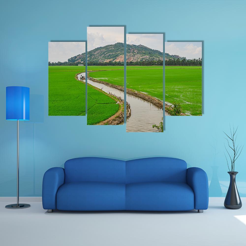 Green Rice Field Vietnams Canvas Wall Art-4 Pop-Gallery Wrap-50" x 32"-Tiaracle