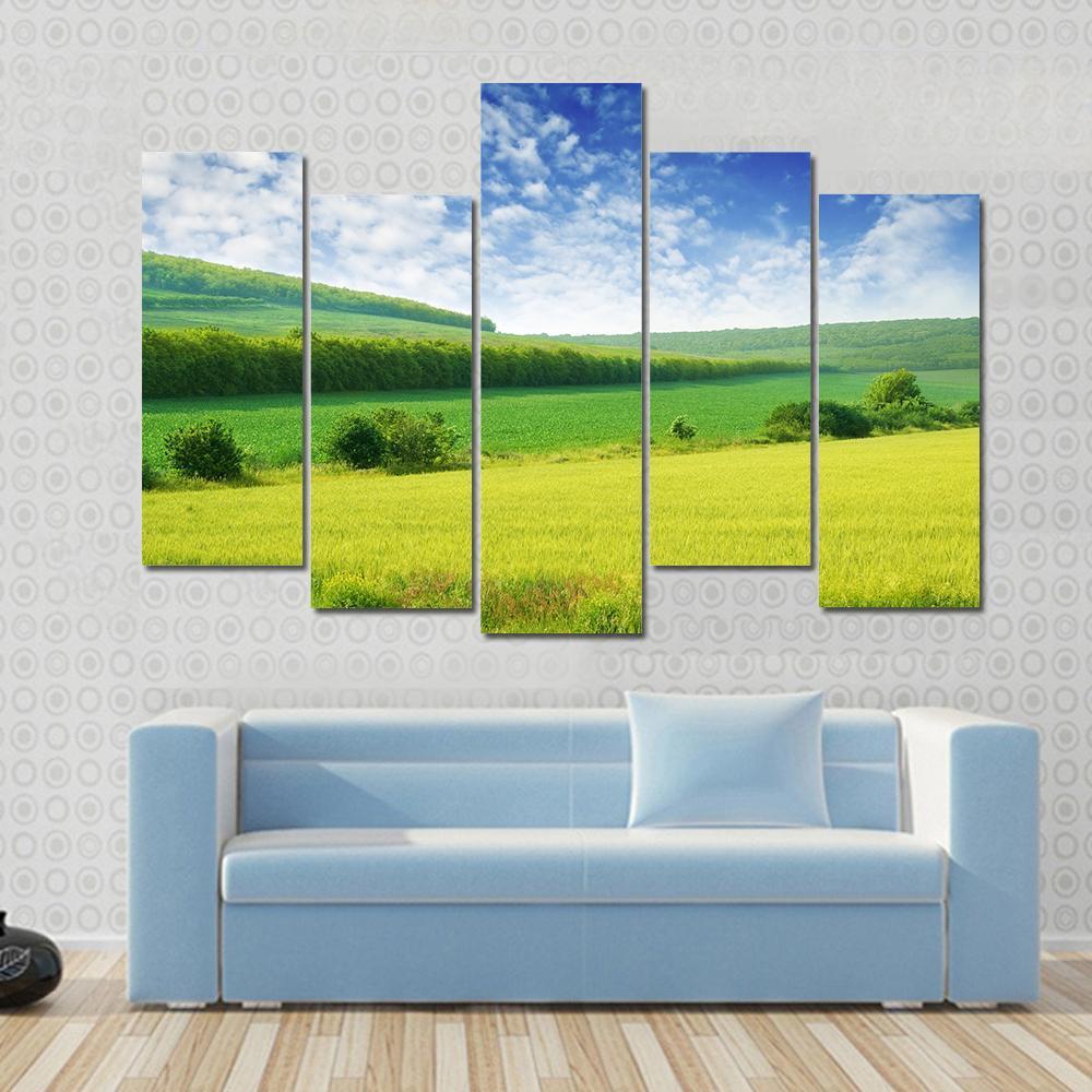 Green Spring Meadow Canvas Wall Art-3 Horizontal-Gallery Wrap-37" x 24"-Tiaracle
