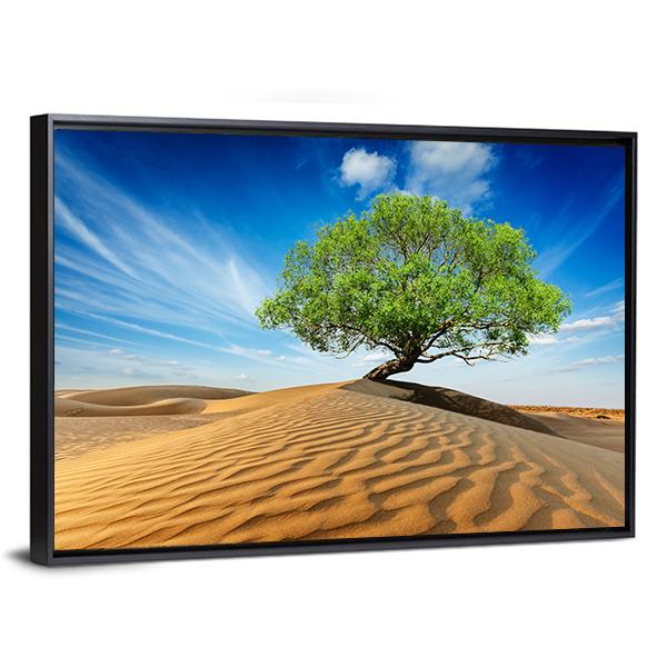 Green Tree In Desert Canvas Wall Art-3 Horizontal-Gallery Wrap-25" x 16"-Tiaracle