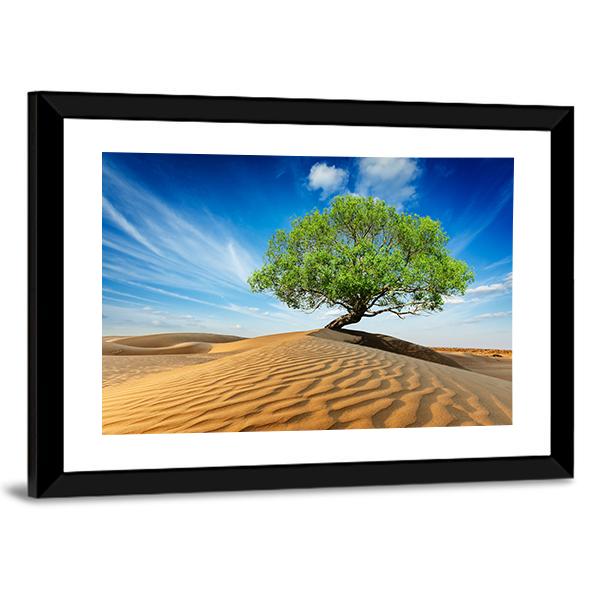 Green Tree In Desert Canvas Wall Art-3 Horizontal-Gallery Wrap-25" x 16"-Tiaracle