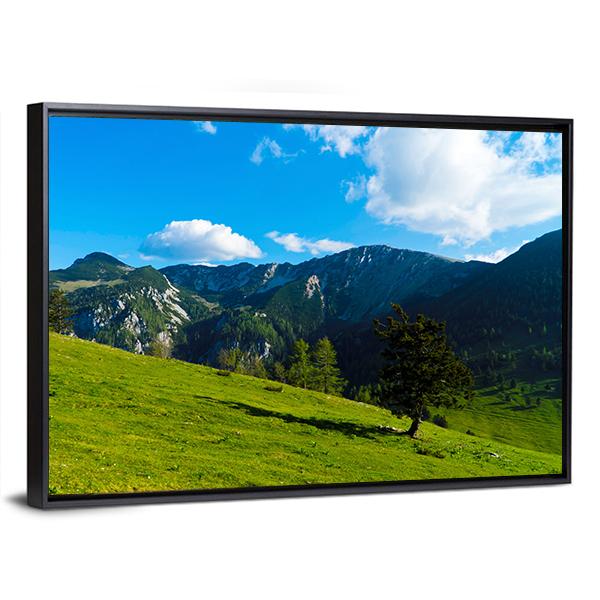 Green Tree On Field Canvas Wall Art-3 Horizontal-Gallery Wrap-25" x 16"-Tiaracle