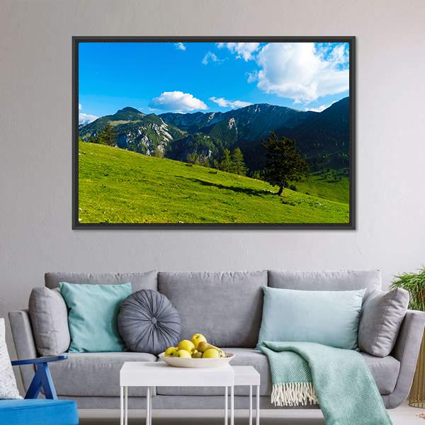 Green Tree On Field Canvas Wall Art-3 Horizontal-Gallery Wrap-25" x 16"-Tiaracle