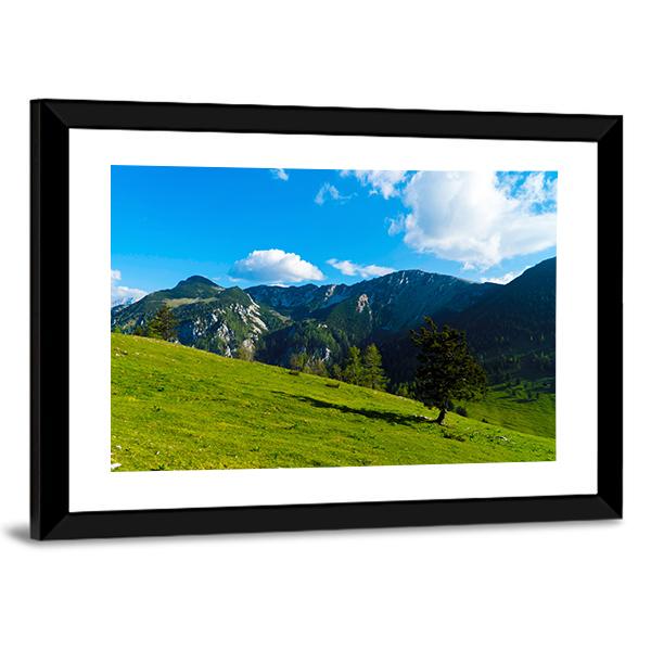 Green Tree On Field Canvas Wall Art-3 Horizontal-Gallery Wrap-25" x 16"-Tiaracle