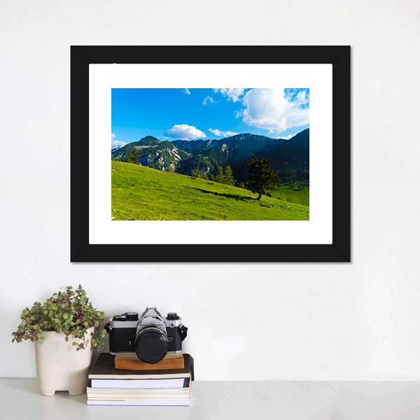 Green Tree On Field Canvas Wall Art-1 Piece-Framed Print-20" x 16"-Tiaracle