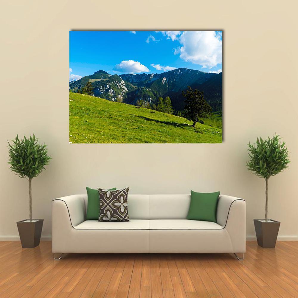 Green Tree On Field Canvas Wall Art-1 Piece-Gallery Wrap-48" x 32"-Tiaracle