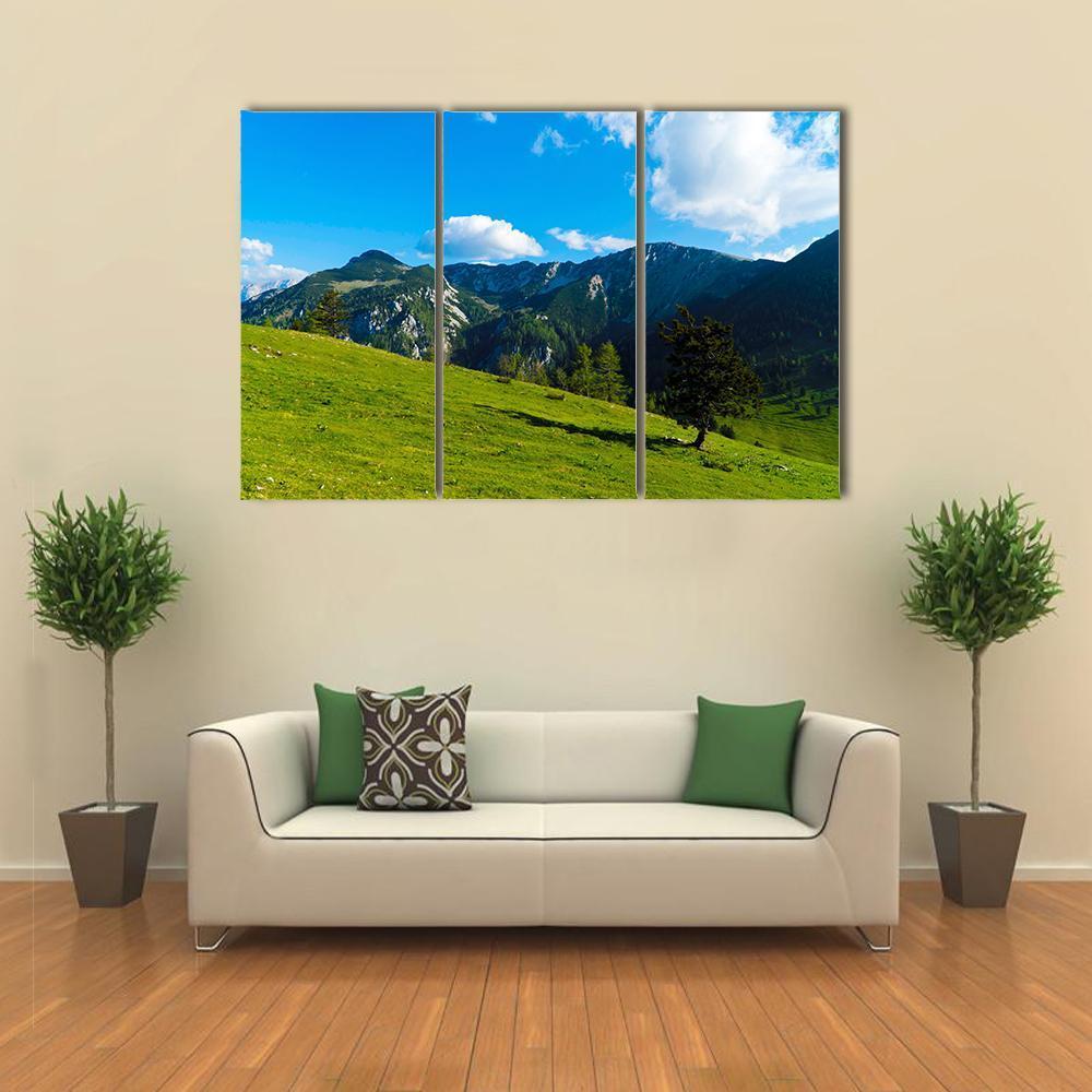 Green Tree On Field Canvas Wall Art-3 Horizontal-Gallery Wrap-37" x 24"-Tiaracle