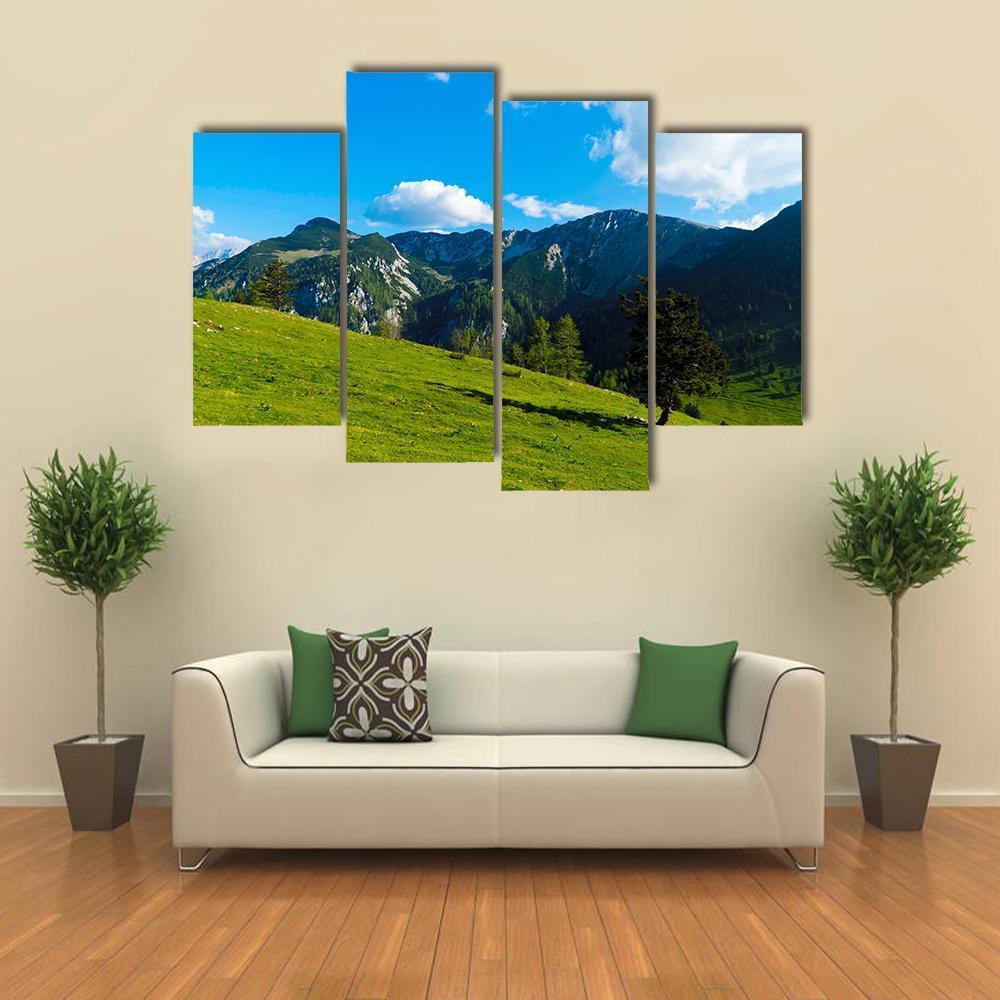 Green Tree On Field Canvas Wall Art-4 Pop-Gallery Wrap-50" x 32"-Tiaracle