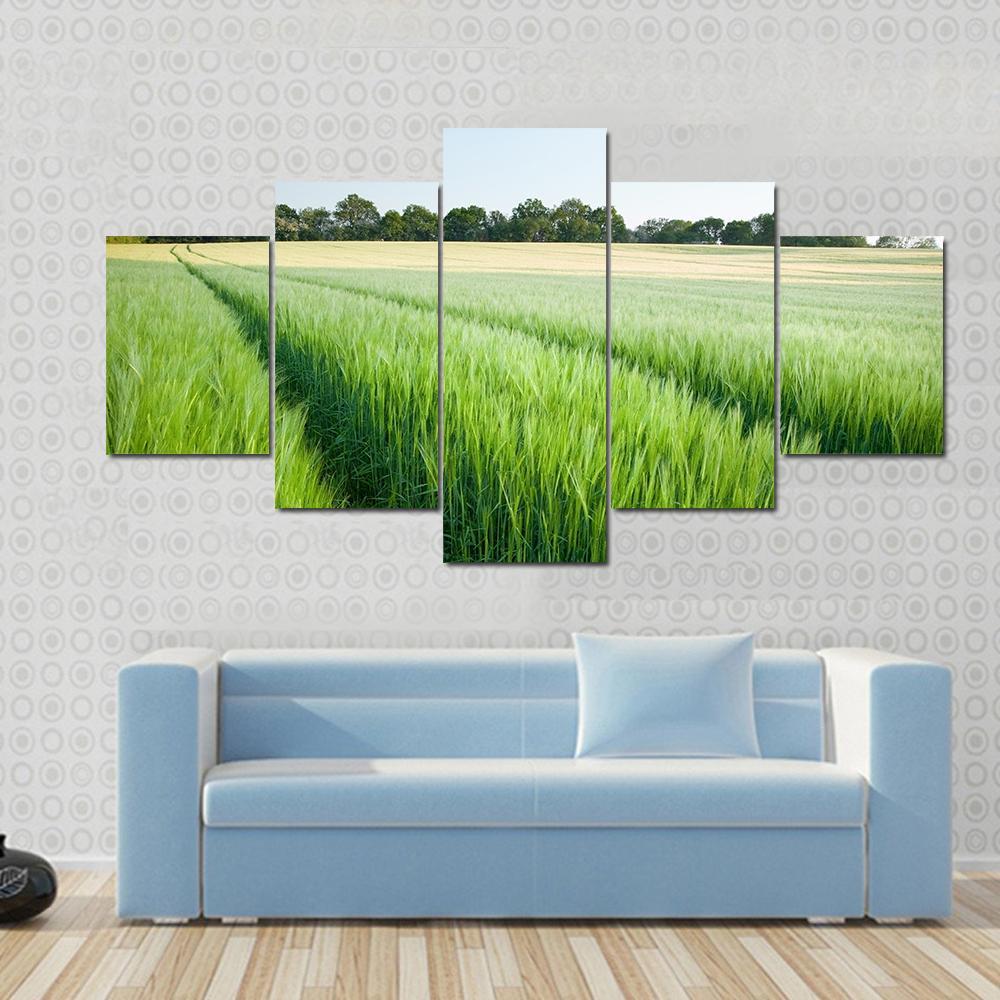Green Wheat Field Canvas Wall Art-3 Horizontal-Gallery Wrap-37" x 24"-Tiaracle