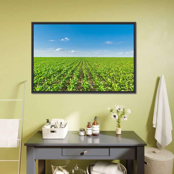 Growing Corn Field Canvas Wall Art-1 Piece-Floating Frame-24" x 16"-Tiaracle
