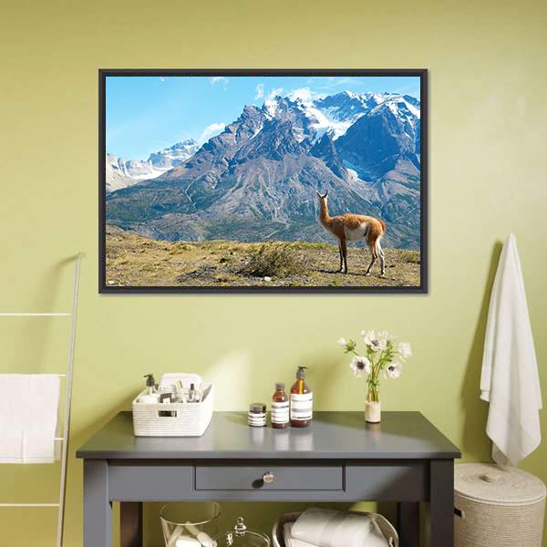 Guanaco In Torres Del Paine Canvas Wall Art-1 Piece-Floating Frame-24&quot; x 16&quot;-Tiaracle
