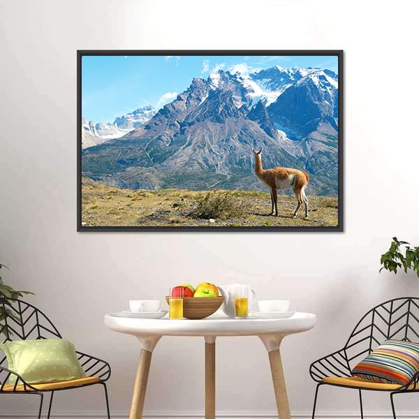 Guanaco In Torres Del Paine Canvas Wall Art-3 Horizontal-Gallery Wrap-25&quot; x 16&quot;-Tiaracle