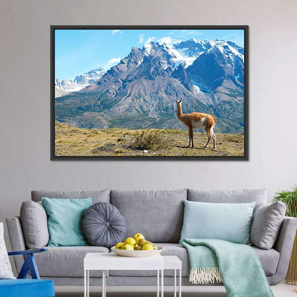 Guanaco In Torres Del Paine Canvas Wall Art-3 Horizontal-Gallery Wrap-25" x 16"-Tiaracle